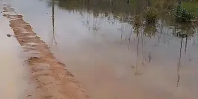 Alex Redano solicita recuperação da Linha B-106, em Cujubim