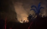 incêndio na mata em Cujubim