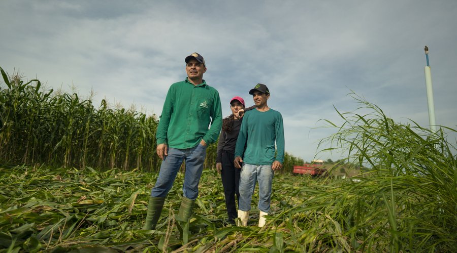 casaquatro_amazoniavox_milho_93