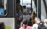 Onibus
