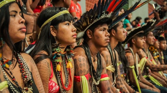 f14053dc15ae4b92a2e8b6906b6e90e4