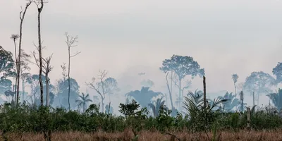 Ibama inicia operação para prevenir incêndios florestais na Amazônia
