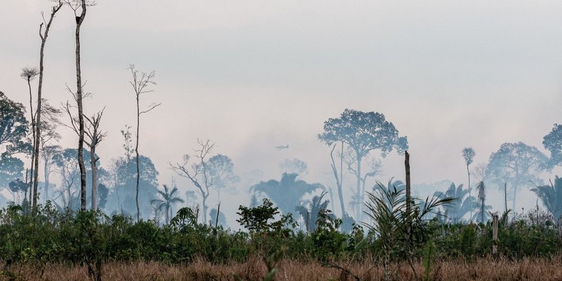 Ibama inicia operação para prevenir incêndios florestais na Amazônia
