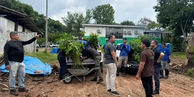 Viveiro de produção de mudas nativas fortalece recomposição florestal e impulsiona recuperação ambiental em Rondônia