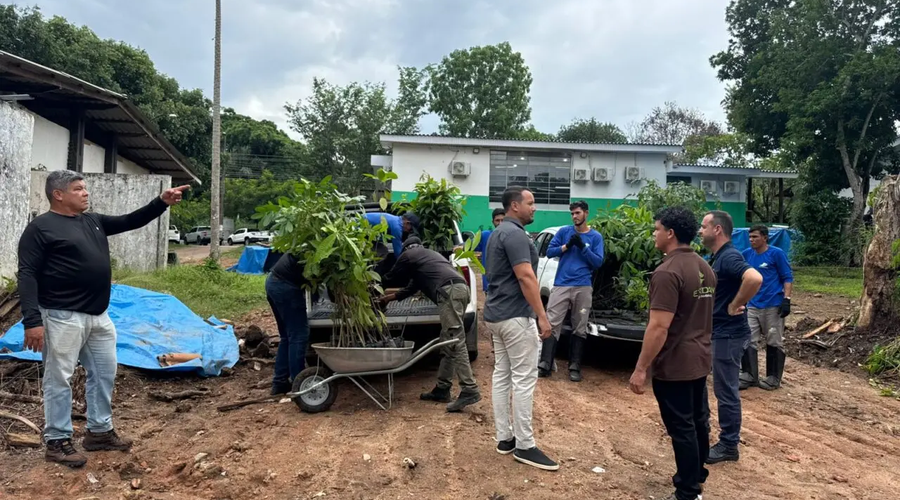 mudas_plantas-15.04.2026-porto_velho-arquivo_sedam-2