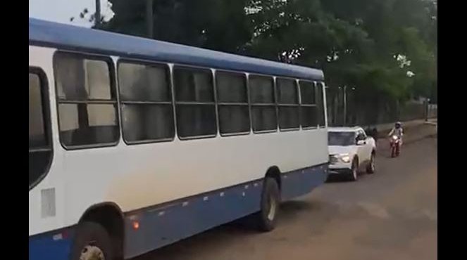 onibus