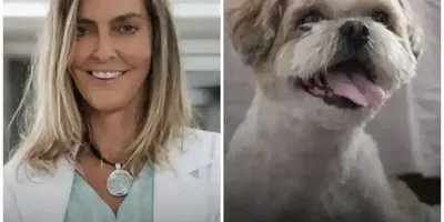Cachorro volta a andar após tratamento liderado pela professora Tatiana Sampaio