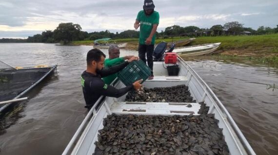 tartarugas-16.12.2025-parque_estadual_corumbiara-arquivo_sedam-570x760